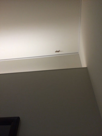 春日井のヘアサロン