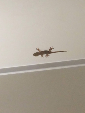 春日井のヘアサロン